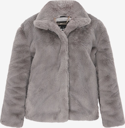 Geacă de iarnă faina pe gri, Vizualizare produs