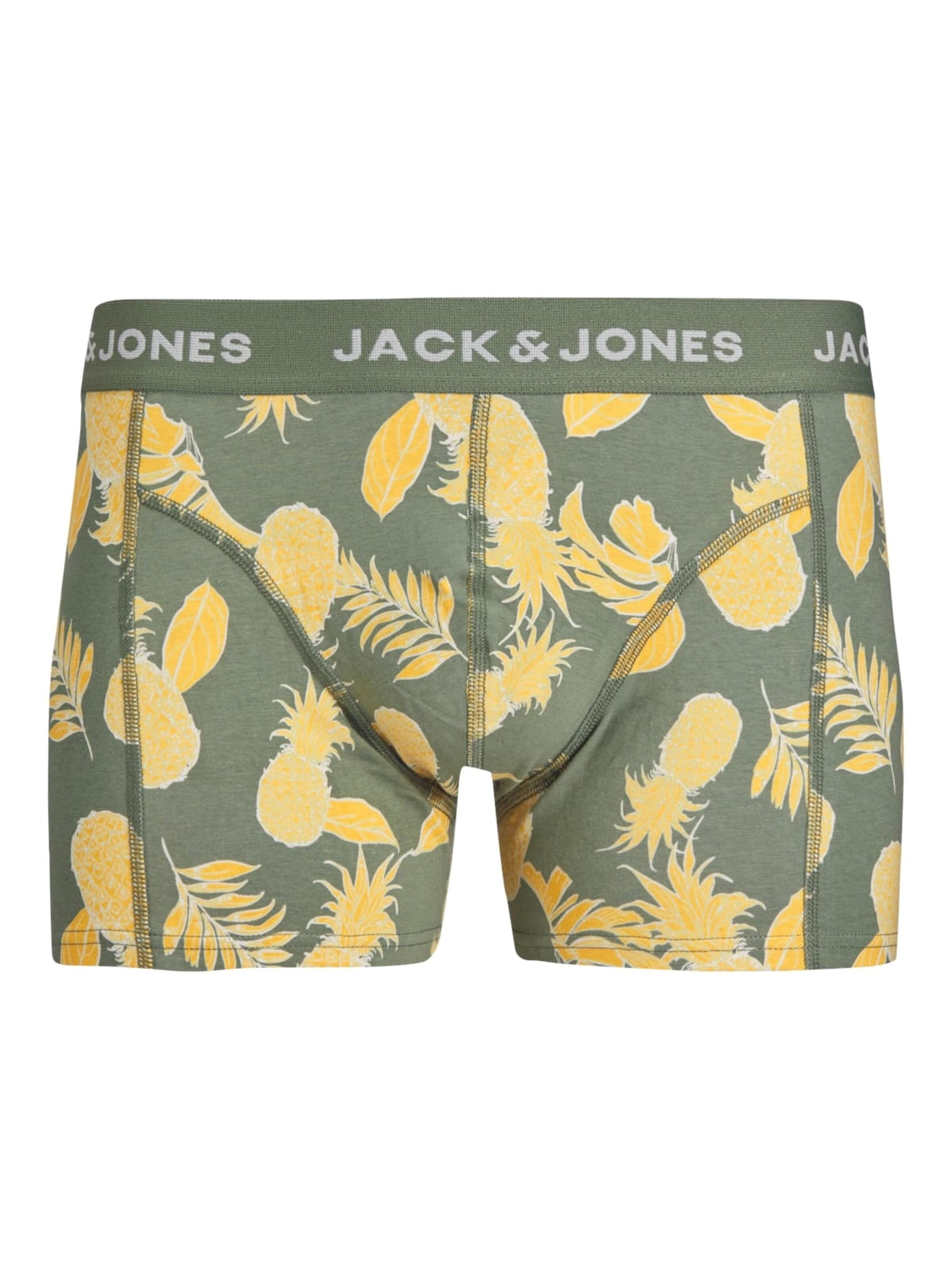 JACK & JONES Boxershorts 'Bahamas' in Groen: voorkant