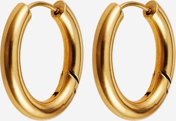Karolina Kurkova Originals Earrings 'Alexis' in Gold: front