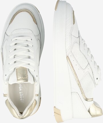ABOUT YOU Sneakers 'Sunny' in White