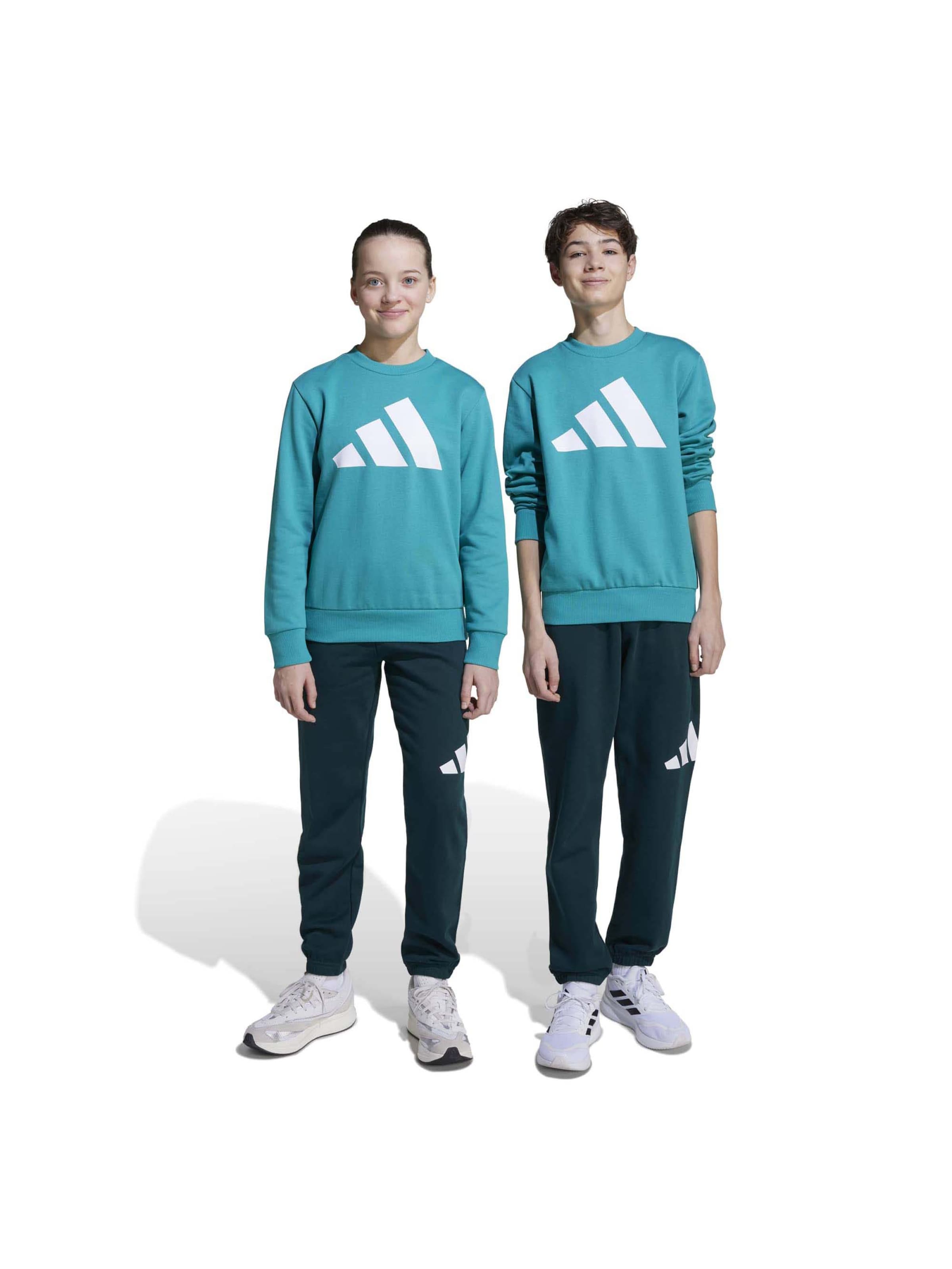 ADIDAS SPORTSWEAR Тренировочный костюм в Зеленый: спереди