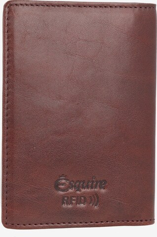 Esquire Wallet in Brown