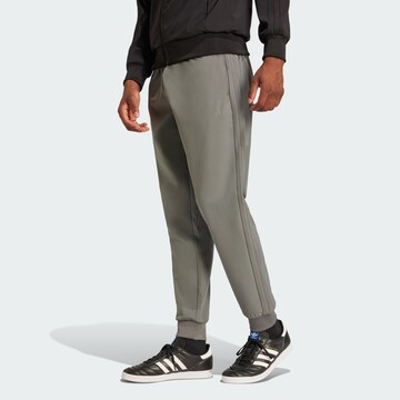 ADIDAS ORIGINALS Tapered Trousers in Grey: front