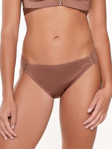 LingaDore Bikinitrusse i brun: forside