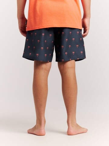 PROTEST Badeshorts 'PRTCalvin JR'‌‌‌‌‌‌‌‌‌ in Blau