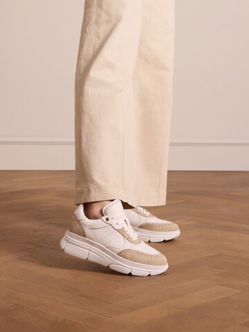 Baskets basses MANFIELD en beige