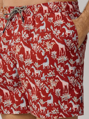 Hackett London Swimming shorts 'Fauna' in Red