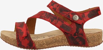 JOSEF SEIBEL Strap Sandals in Red