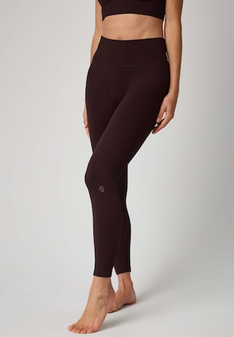 OCEANSAPART Kitsas Spordipüksid 'Maya', värv pruun: eest vaates