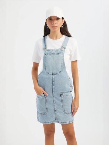 Hiccup Jumpsuit 'Jeans-Overalls und Jumpsuits' in Blue: front