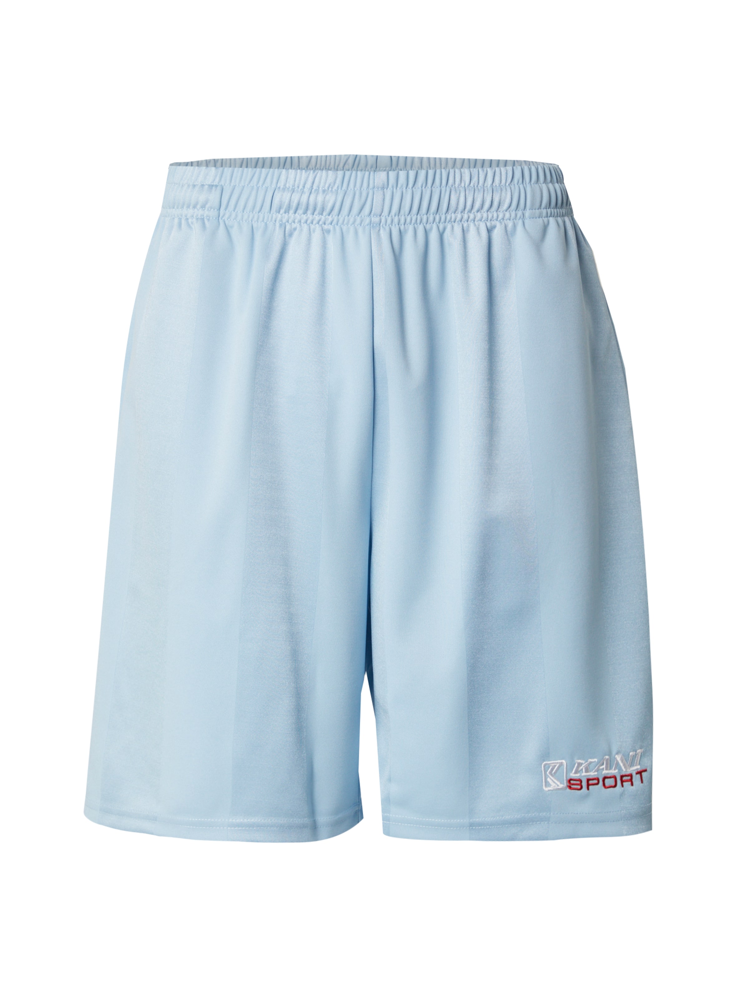 Karl Kani Regular Pants in Blue: front