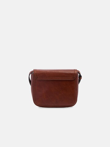 The Bridge Crossbody Bag in Brown