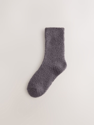 Chaussettes Next en gris