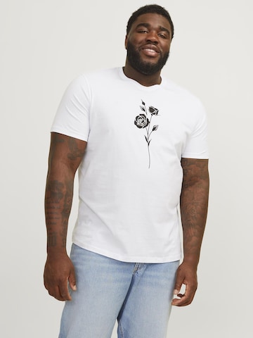 Jack & Jones Plus Bluser & t-shirts i hvid: forside