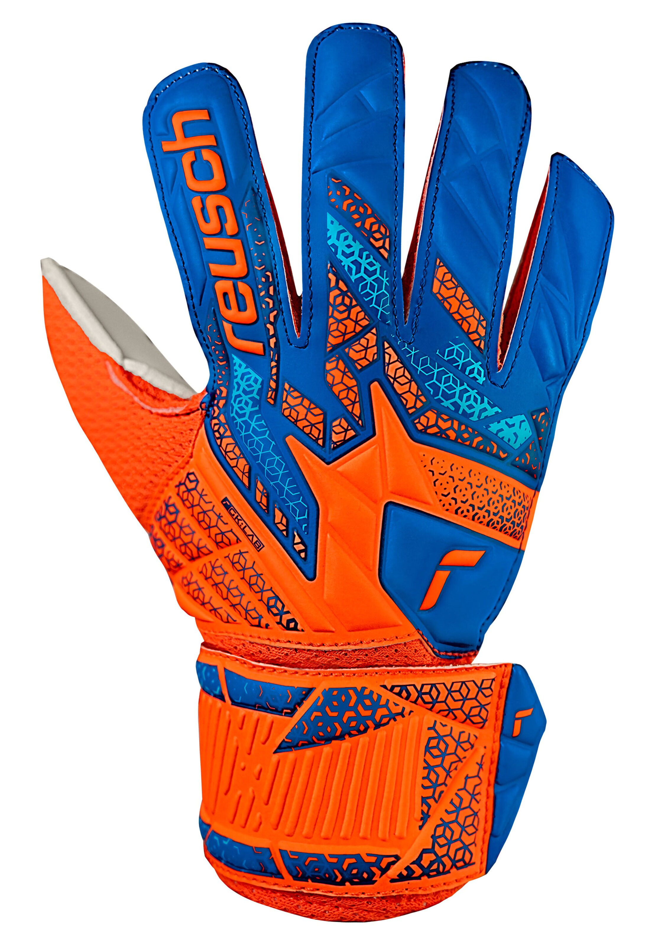 REUSCH Torwarthandschuhe 'Attrakt Solid Junior' in Mischfarben