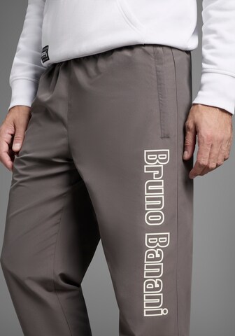 Bruno Banani Regular Pants in Grey