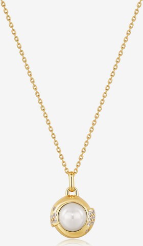 ANIA HAIE Necklace in Gold: front