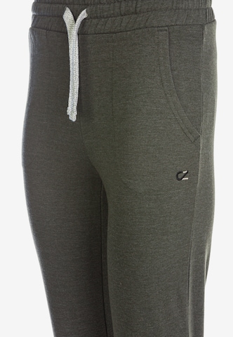 Cruz Regular Workout Pants 'Regent' in Green