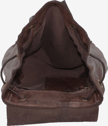 Campomaggi Backpack in Brown