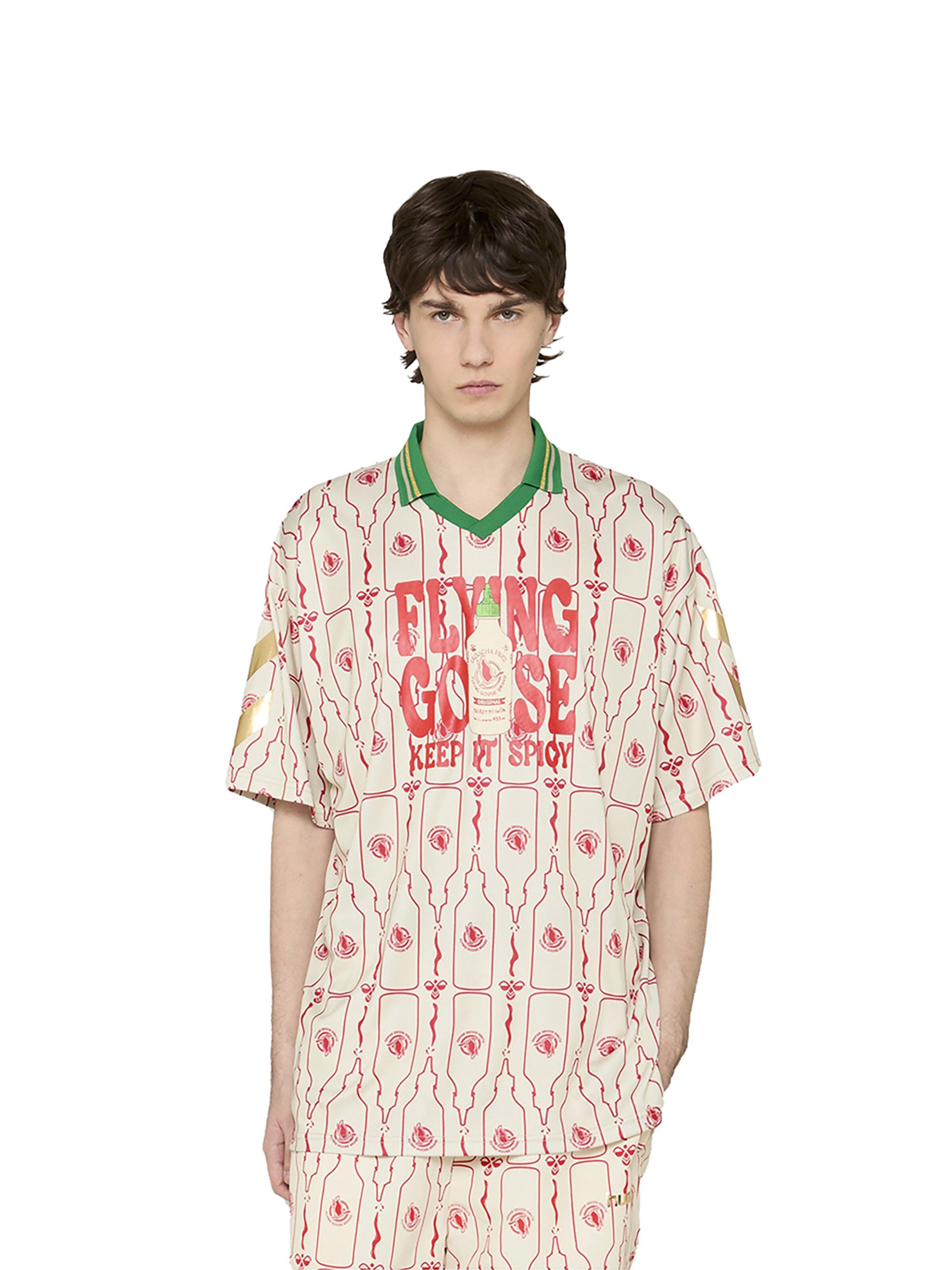 Hummel Shirt in Mixed colors