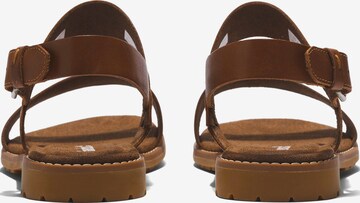 TIMBERLAND Sandals 'Chicago Riverside' in Brown