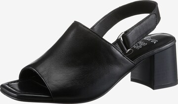 ARA Sandals in Black: front