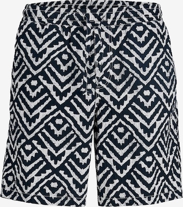 JACK & JONES Свободный крой Штаны 'JPSTJaiden' в Синий: спереди