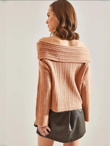 Bianco Lucci Pullover in Braun