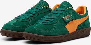 PUMA - Sapatilhas baixas 'Palermo' em verde