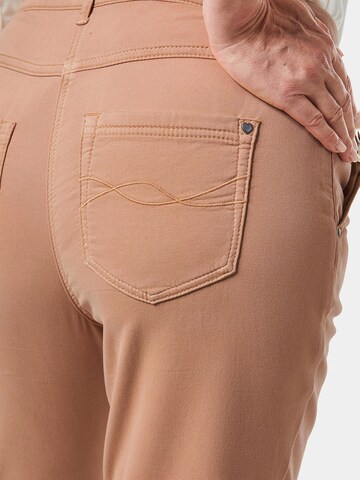 Goldner Regular Broek in Bruin