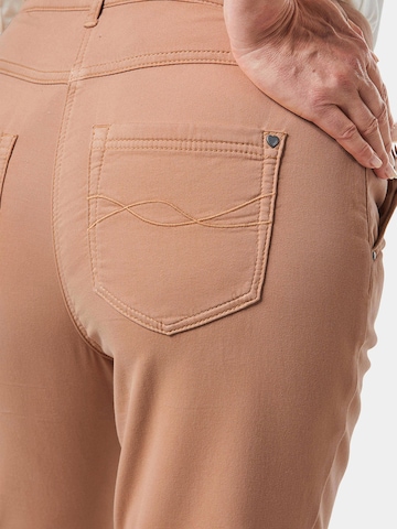 Goldner Regular Pants in Brown