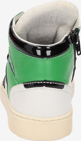 SIOUX Sneakers hoog 'Tedroso-DA-701' in Gemengde kleuren