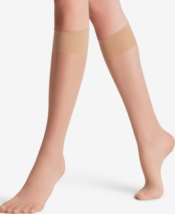 FALKE Knee High Socks 'Pure Matt' in Gold: front