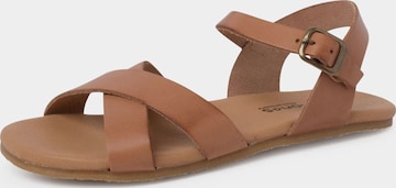 Pisamonas Sandalen in Beige: voorkant