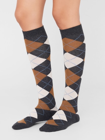 CALZEDONIA Knee High Socks in Grey