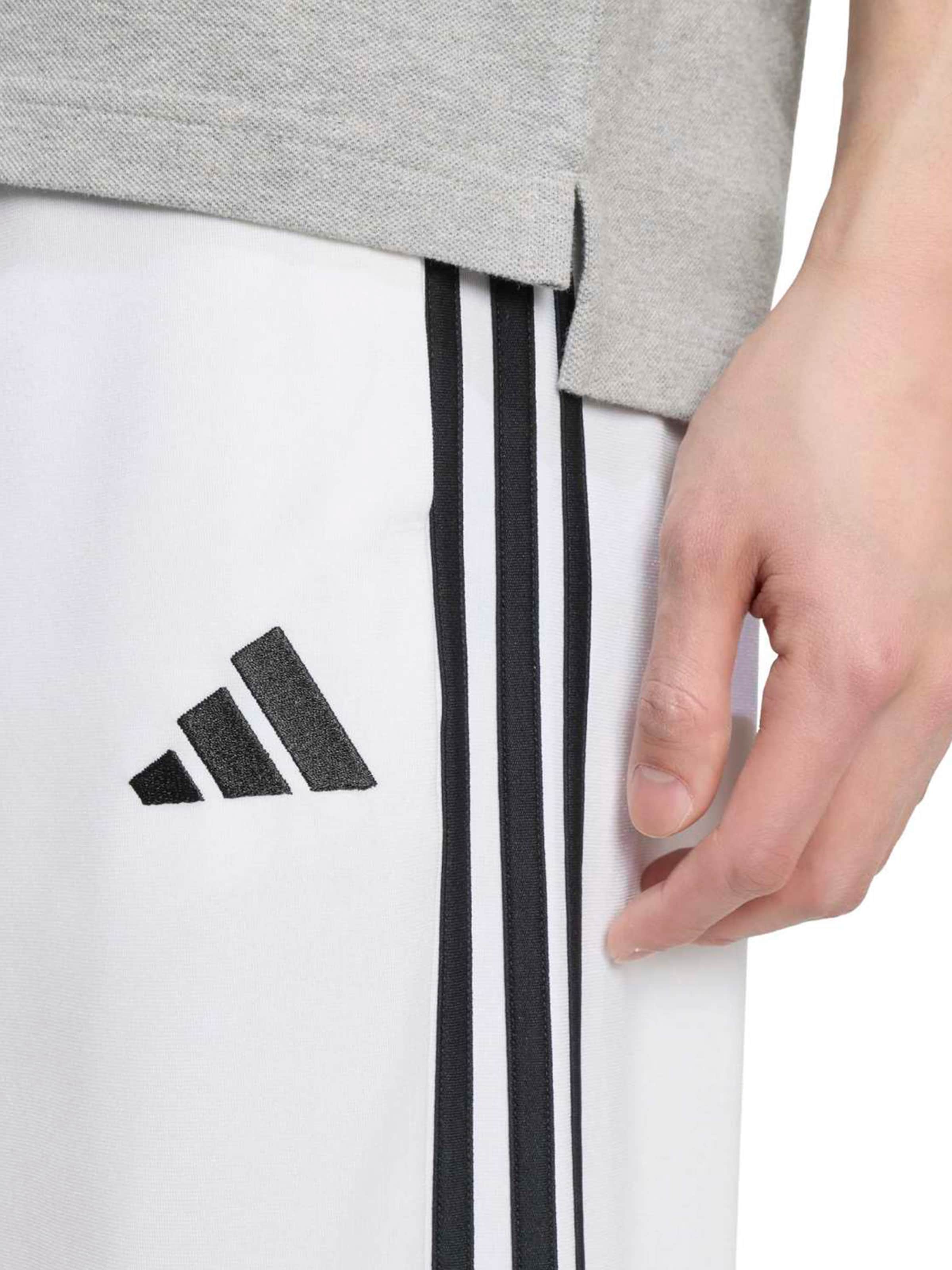 ADIDAS SPORTSWEAR Regular Sportbroek 'DAYRDY' in Wit