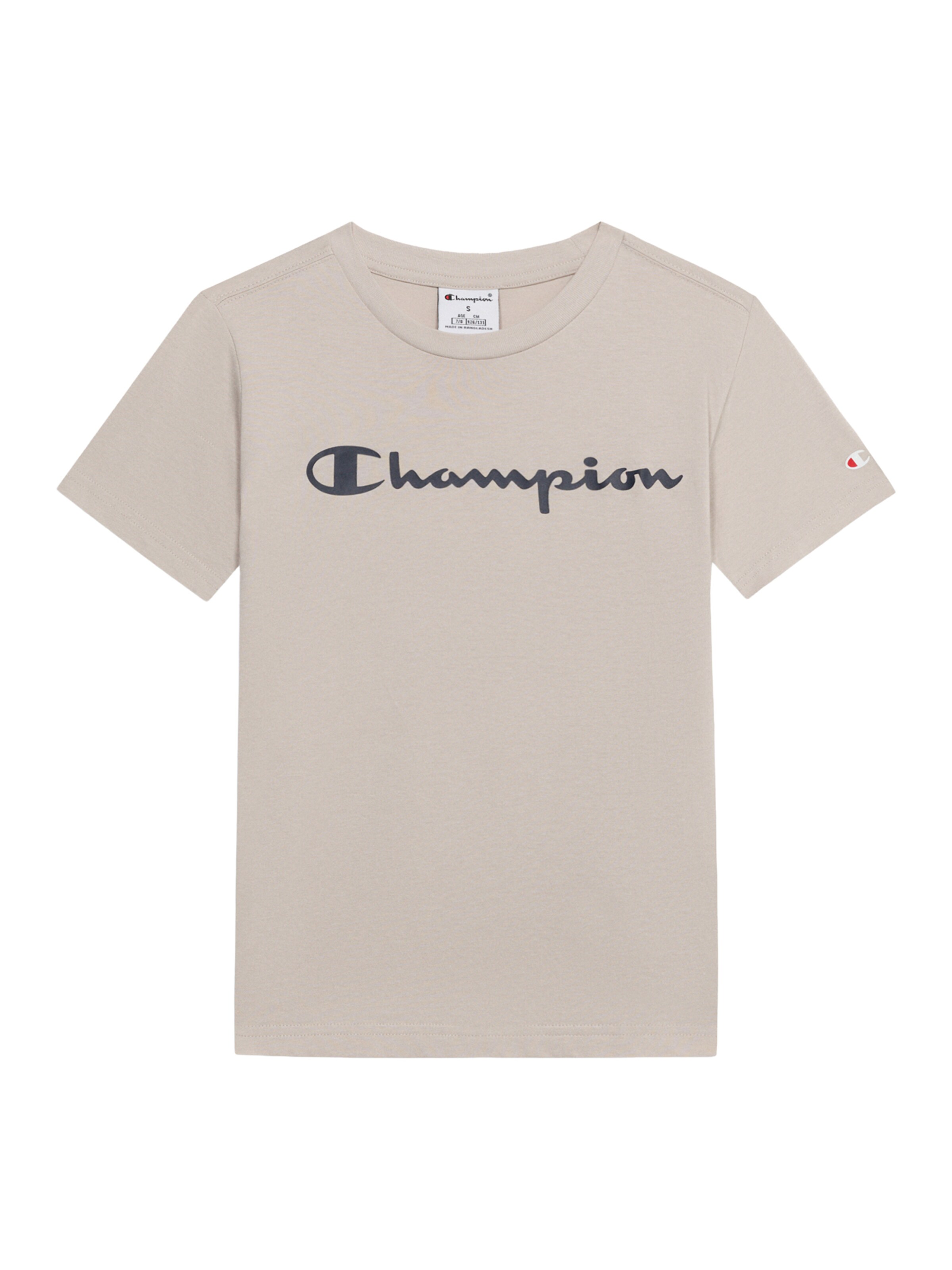 Champion Authentic Athletic Apparel Тениска в сиво: отпред