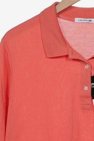 LACOSTE Poloshirt 4XL in Pink