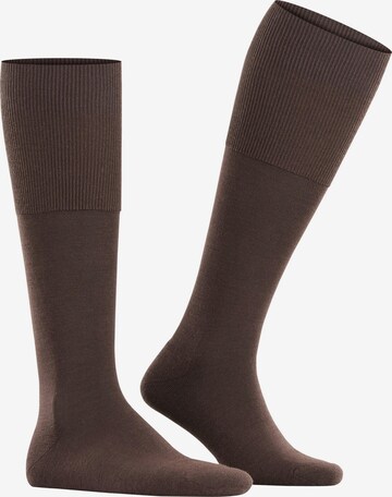 FALKE Knee High Socks 'Airport Plus' in Brown: front