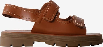 Super Mode Sandals in Brown: front