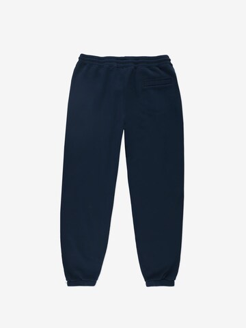 Prosto Regular Workout Pants 'Football' in Blue