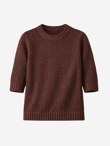 Il Lanificio Pullover‌‌‌‌‌‌ in Braun