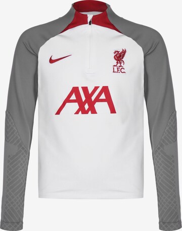 NIKE Sportsweatshirt in Grau: predná strana