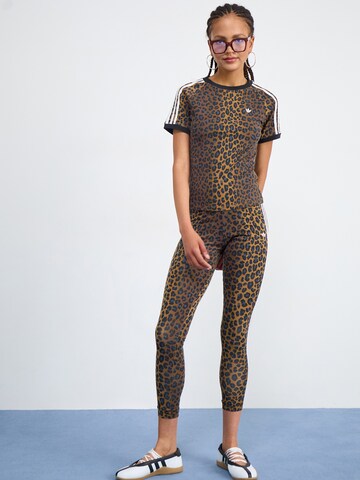 ADIDAS ORIGINALS Shirt 'CALI' in Mixed colours