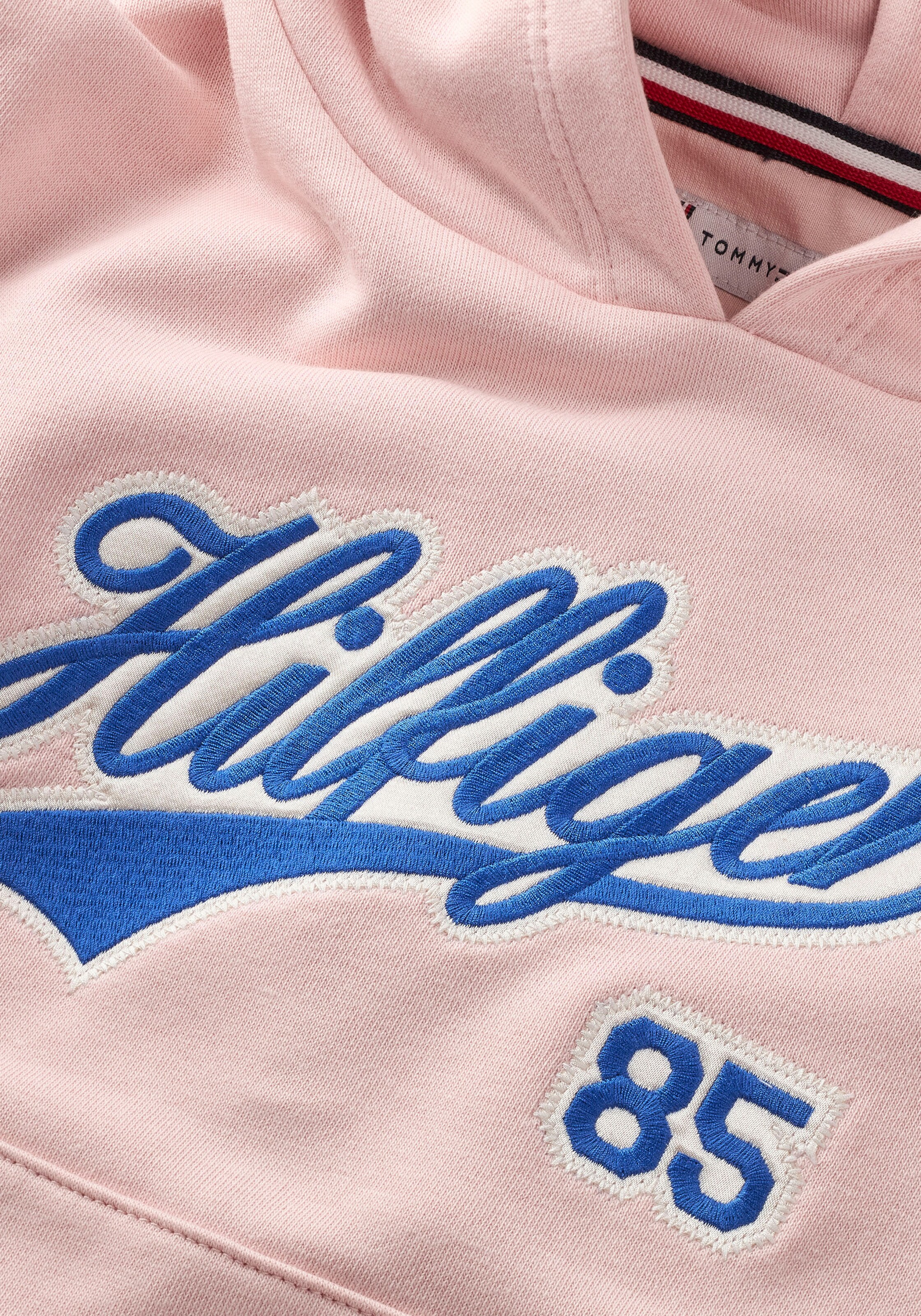 Pull tommy hilfiger pastel sale
