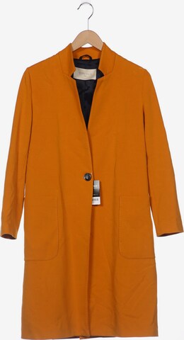 Circolo 1901 Jacket & Coat in L in Orange: front