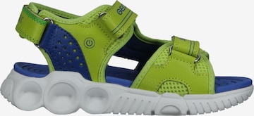 Chaussures ouvertes GEOX en vert