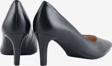 Högl Pumps 'BOULEVARD 60' in Black