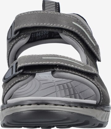 Rieker Hiking Sandals in Grey