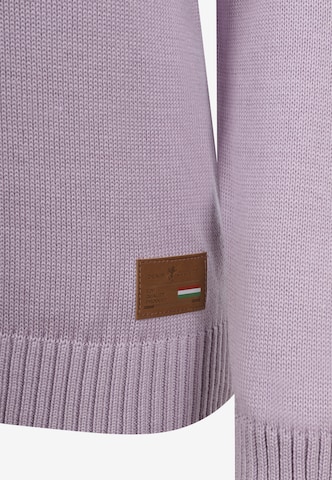 DENIM CULTURE Sweater 'Estelle' in Purple